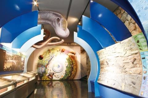 🦋 가시하라시 곤충관(카시하라시콘츄칸) 이미지 1